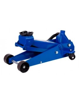 TC5151  GATO PATIN 3...