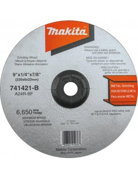 741421-B  DISCO P/PULIR...