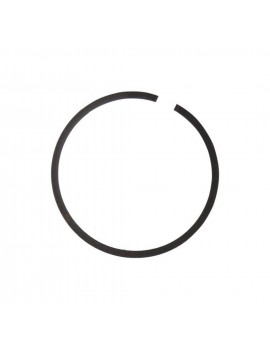 1694 ANILLO PISTON...