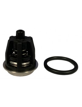 34000101  KIT 1 VALV....
