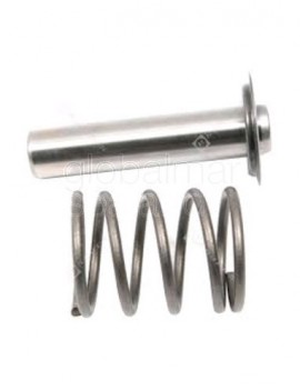 9.001-927.0  EMBOLO COMPLETO