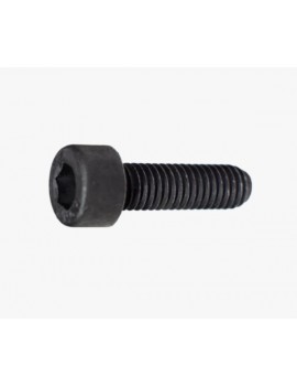 6.303-092.0 TORNILLO 6 X 20
