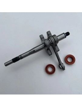 41370300401 CIGUEÑAL FS 55