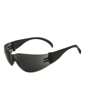 352451590100 GAFAS DE...