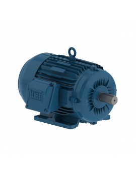 8880500064 MOTOR ELEC WEG...