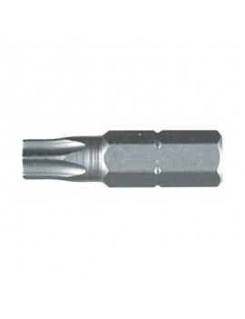 125T25A PUNTA TORX T25 WORKER